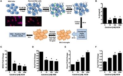 Neuron-Specific Vitamin D Signaling Attenuates Microglia Activation and CNS Autoimmunity